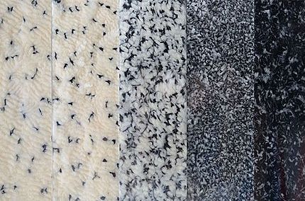 经过第三道并条工序后实现均匀的并条机混纺