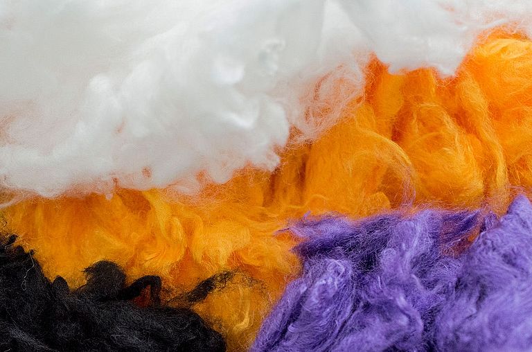 A fiber bundle with white, black, violet and organ fibers