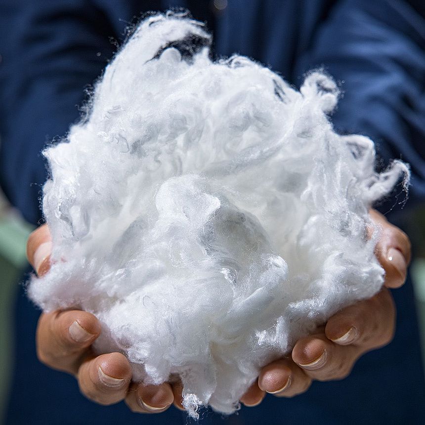 Eller viskon tutuyor