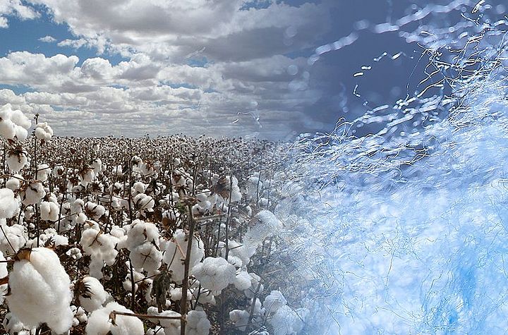 Montage: Cotton field and man-made fibers