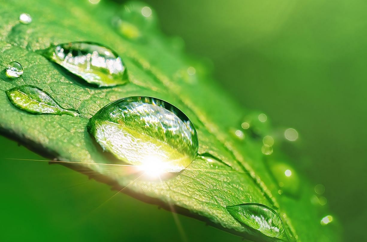 Droplets of water on a green leaf, symbolizing Rieter's sustainability strategy.